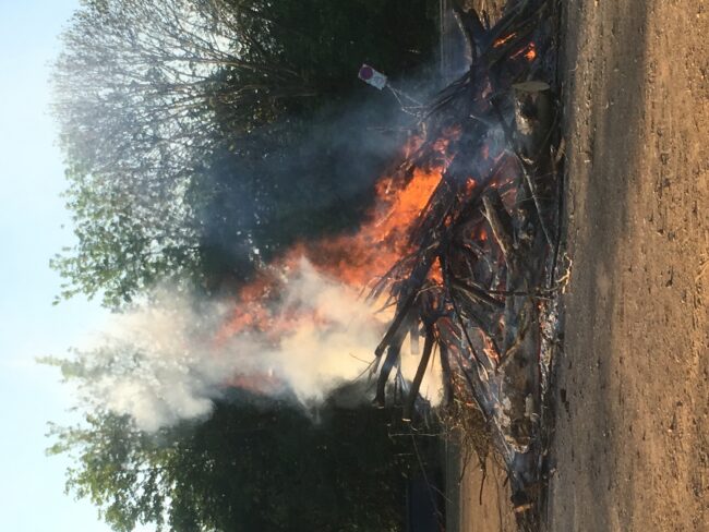 B0396CEB-E9B1-49EA-AAEF-B2E639FA5DEB